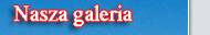 Unsere Galerie